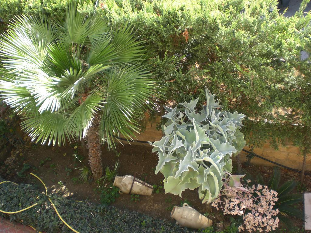 Bouganville San Leone Bagian luar foto